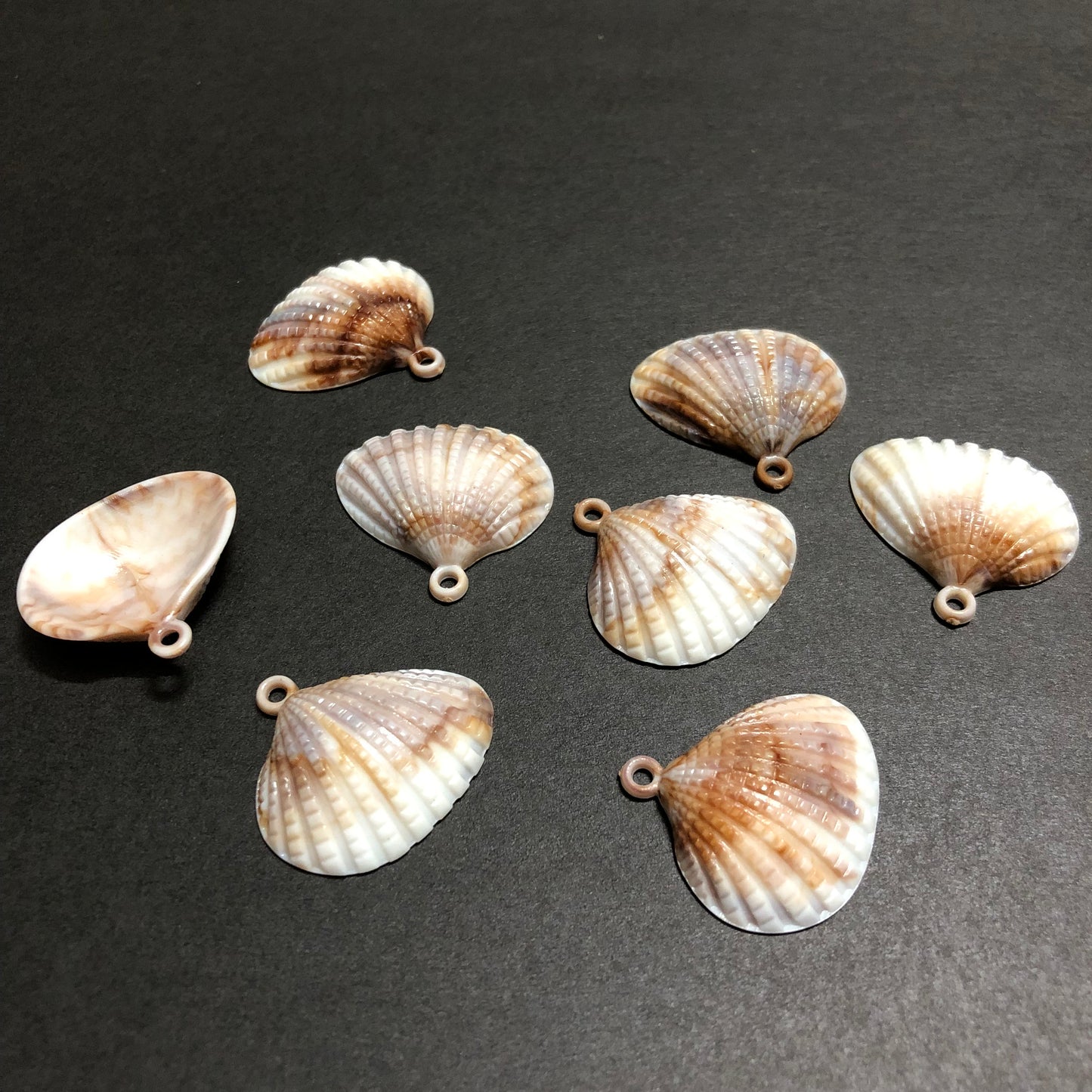 Wave Gem White with Driftwood Beige Touch Shell Button