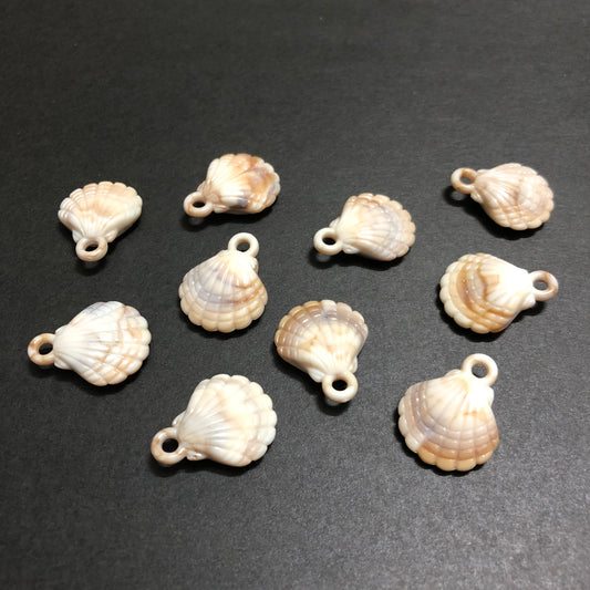 Sand Shell White with Driftwood Beige Touch Shell Button